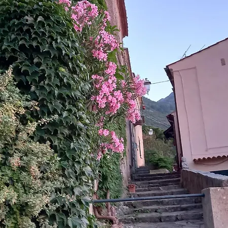 Apartman Nora's House Elba Island Marciana
